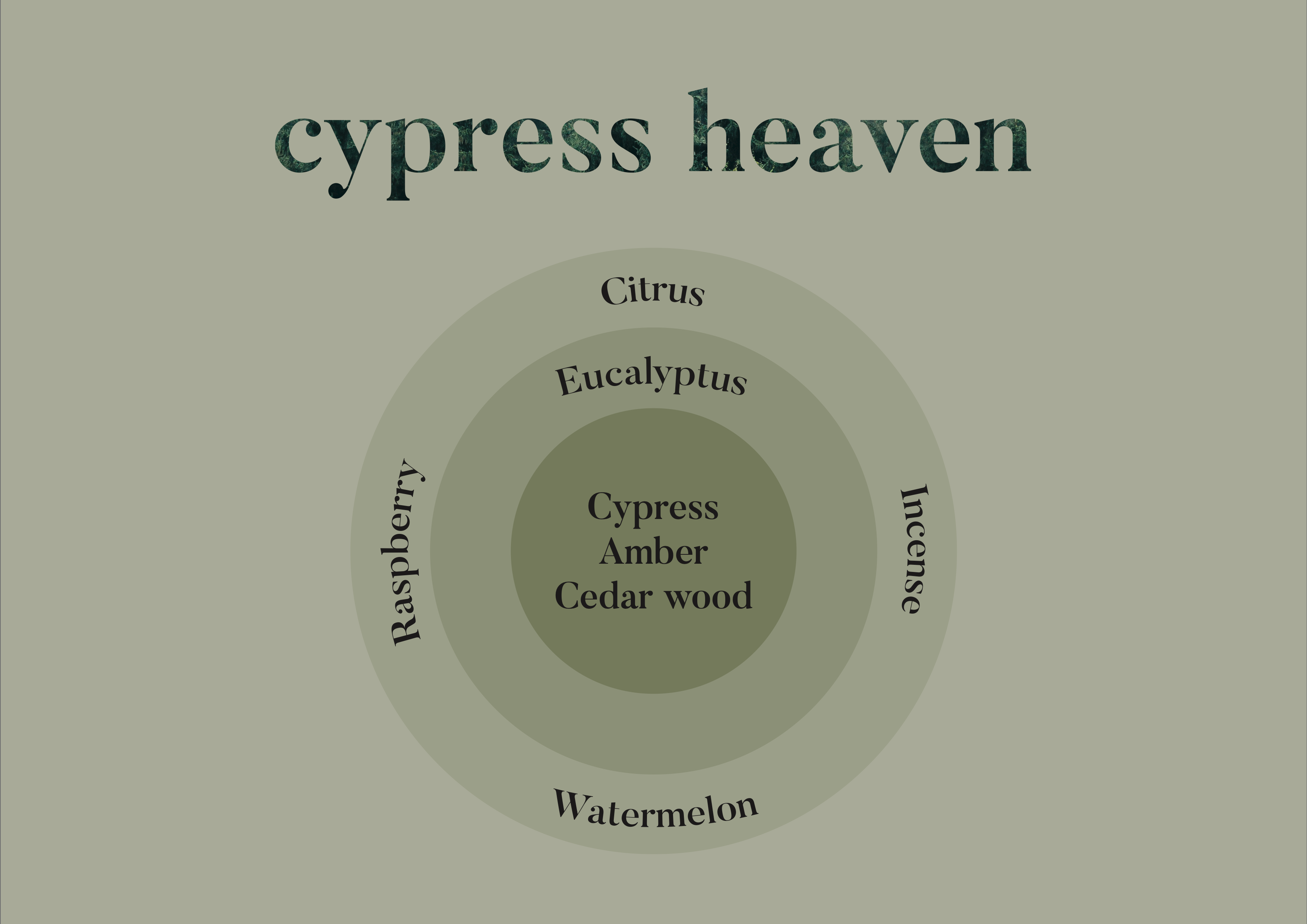 Cypress heaven